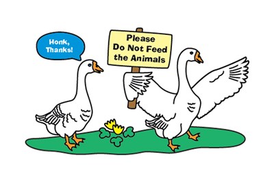 Please Do Not Feed the Wildlife