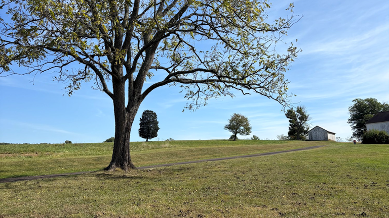 Open Space Referendum