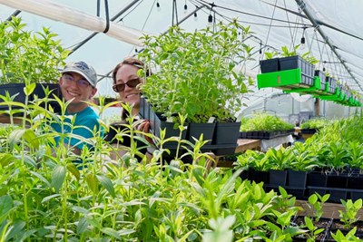 Perkiomen Watershed Conservancy Native Plant Sale