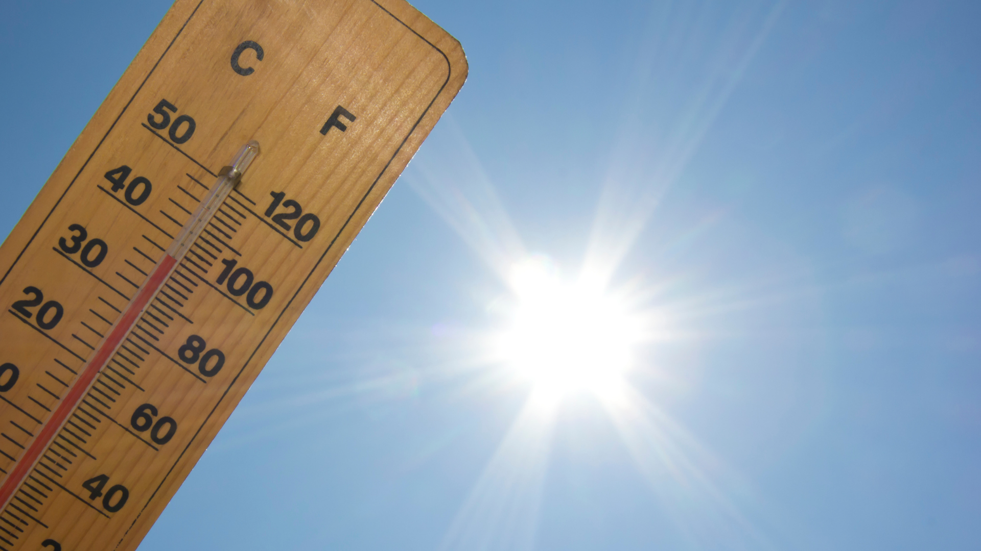 Code Red Declared: Stay Safe During Summer Heat